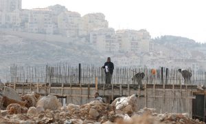 Construction Site Israel-Palestine