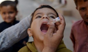 Pakistan poliovirus