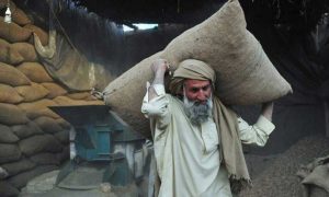 WWF Labourers Daughter's Marriage