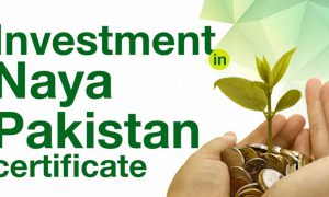 Naya Pakistan certificates