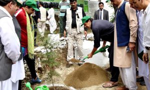 tree planting campaign