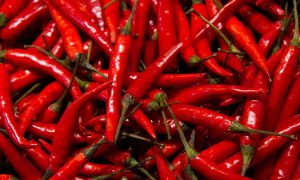 China chillies