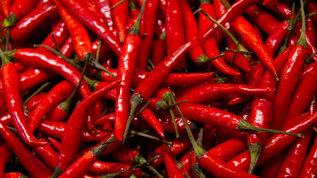 China chillies