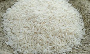 China rice