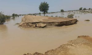 Dadu flood