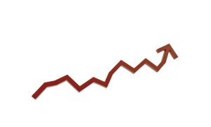 investments in government securities