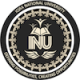 Iqra-National-University-logo